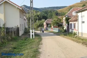 LE DOMAINE DU HIBOU - Image 3