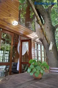 Cabana em lugar mágico - Refúgio na natureza em SP - Image 5