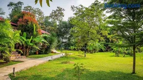 Baansuan Amaleena - Image 4