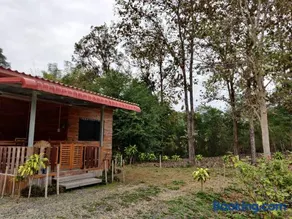 สายฝนการ์เด้น - Image 1