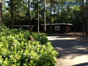 California Chalet & Touring Park - Image 2