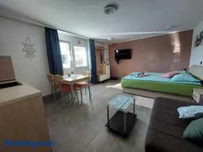 Studio apartma Žirovnik - Image 5