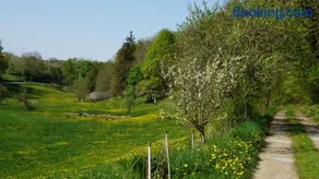 Mobilheim mit Garten und Grill - Image 4