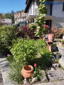 La gazza allegra - Image 1
