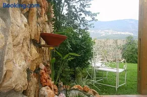 צימורן - Image 5
