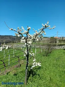 Quinta do Giz - Image 5