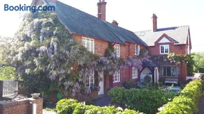 Cotton Farm - Image 1