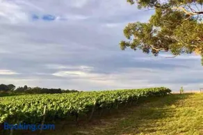 Peaceful 4-Bedroom Vineyard Retreat in Hahndorf - Image 3
