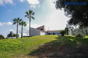 Son Paparra - Image 2
