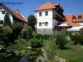 Dalmo - Image 3
