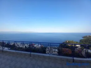 The Big Blue - Image 1