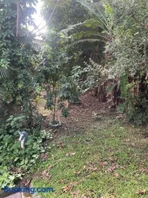 Recanto Piscina na Mata - Image 5