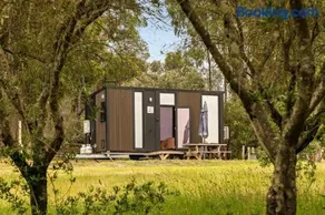 Olive Sanctuary by Tiny Away - Image 1