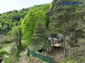 Bazaletis Akvani - Image 5