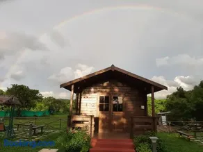 Cocorico Stay Ya! Cottages Alibag - Image 4