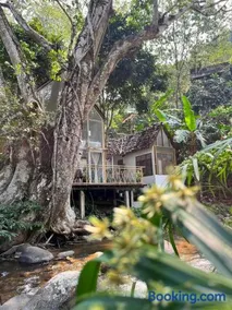 The ForRest Peace Forest แม่กำปอง - Image 3