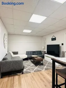 Private Basement Lawrenceville Suwanee Duluth ATL - Image 1