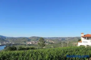 Quinta das Murtinheiras - Image 4