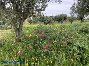 Agriturismo DonnoMarco - Image 3