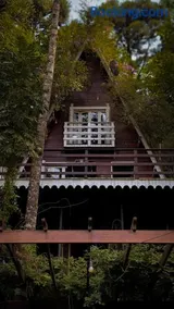 Cabana Recanto da Araucária - Image 4