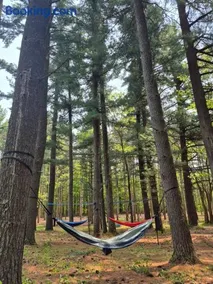 Private Secluded House 12 ac Nature Forest Retreat - Image 3