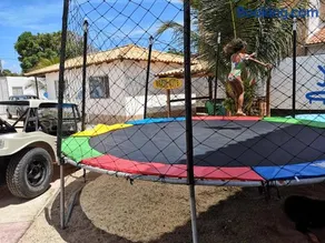 Brasil-Kite - Image 1