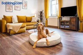 Gästewohnung Auszeit - Image 4