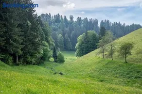Schreinerhäusle nähe Titisee - Image 3