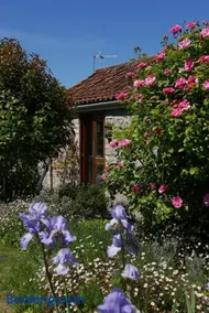 The Potting Shed, self contained, detached retreat in Shapwick village - Image 2