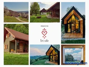 Tri Vile Estate, a piece of paradise in Kozjansko - Image 1