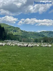 Pensiunea Trei Ponei - Image 2