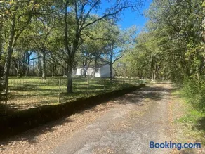 La maison dans les bois - Image 2