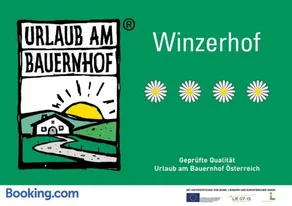 Bioweingut Schmidl - Image 3