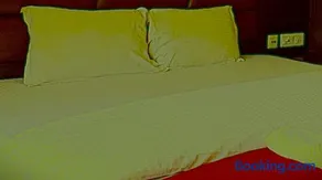 Hotel Ghumog Stay In Kasauli - Image 3