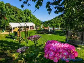 Bed and breakfast Al Turchino - Image 2