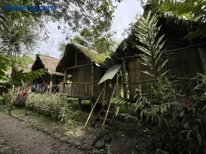 Lisan Wasi - Image 3