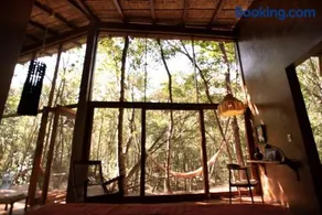 OJO DE AGUA. Design+pool. Vive la auténtica selva! - Image 1