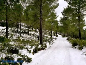 Finca La Celada - Image 4
