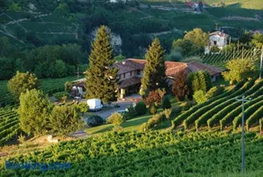 Cadgal - Tenuta Valdivilla - Image 1