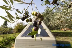 Glamping la lodola - Image 2