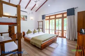 Buddhi's Grove - Image 3