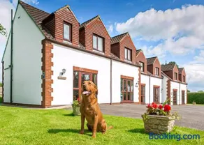 White Rose Country Cottages - Image 4