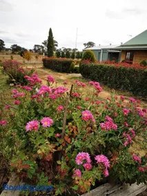 Kathmandu Farmstay - Pool Table, Ping Pong, Bicycles, PlayStation, Netflix, close to Bathurst and Mayfield Garden - Image 4