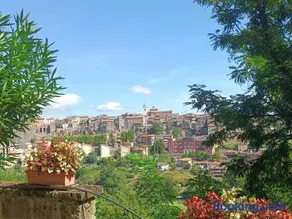 La Civetta - Casa vacanze Orte - Image 1