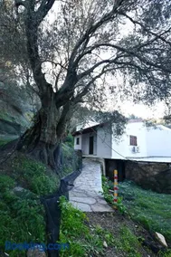 Chania Hillside 2BD Home - Nature & Comfort by ΜΡS - Image 1
