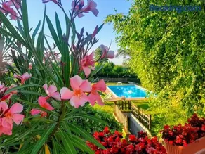Ca' San Lorenzo - Villa panoramica con piscina - Vignale Monferrato - Image 1