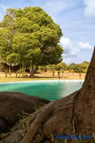 Finca Santa Teresa, Casa La Higuera - Image 3