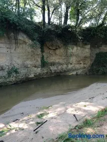 L'Olivier Fleurie Barjols - Image 4