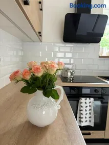 Apartmán U včelína - Image 1