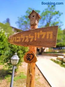 חלון לגלבוע צימר בוטיק בעמק המעיינות - Image 2